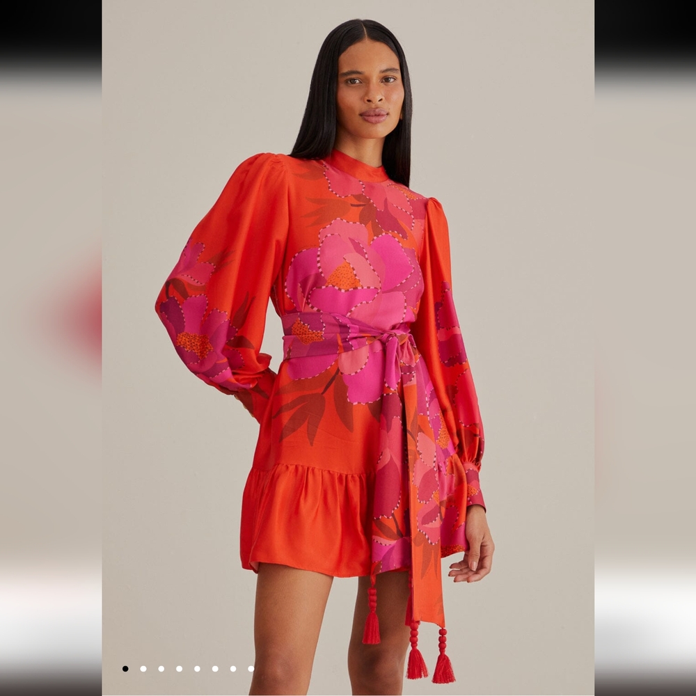 Farm Rio Red Peony Long Sleeve Mini Dress XL NWT